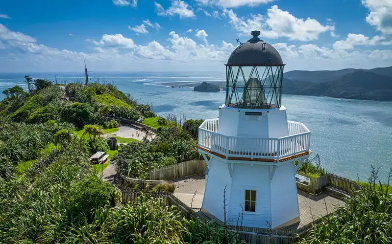Family moving into a spacious home in South Auckland, served by our local movers.